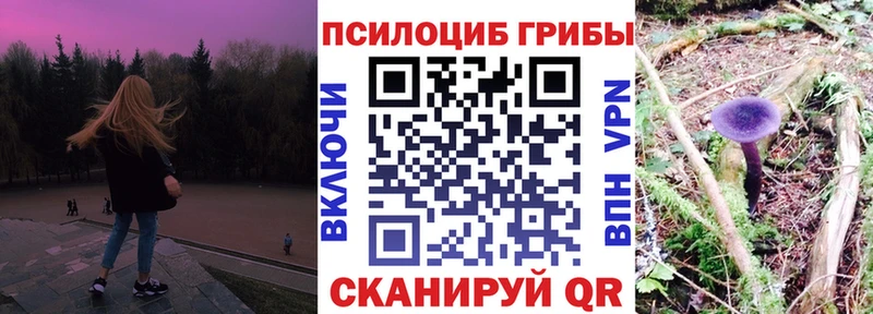 наркота  Казань  Псилоцибиновые грибы мухоморы 