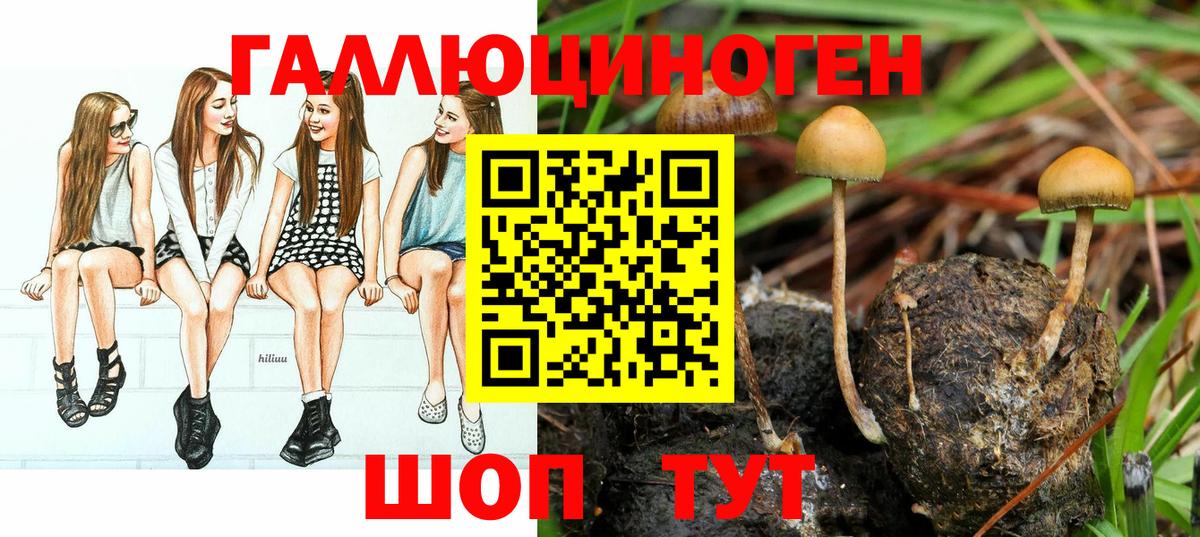 Галлюциногенные грибы ЛСД Казань